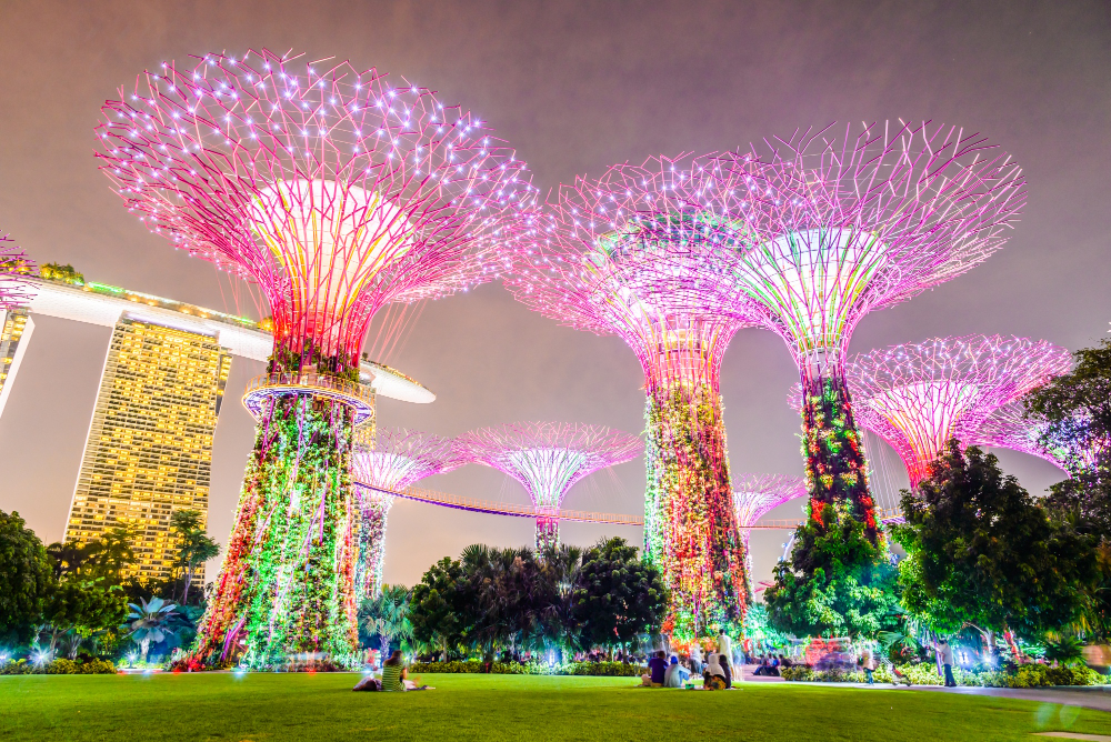 Singapore PR Processing Time: How Long Does It Really Take? (2026) 2 Singapore PR